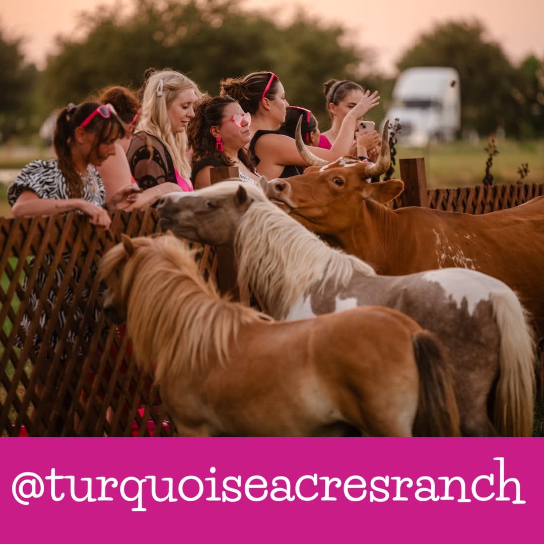 Ladies Feeding Cows, Donkeys & Ponies at Turquoise Acres Ranch Party