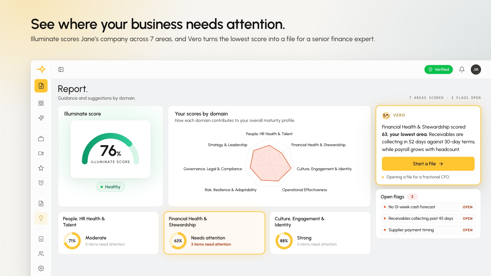 Illuminate report scoring a company across seven areas, with financial health flagged as the lowest score.
