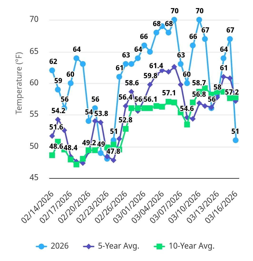 Average soil temperature chart for Collin County Texas showing above-normal soil temperatures during the late winter to sprin