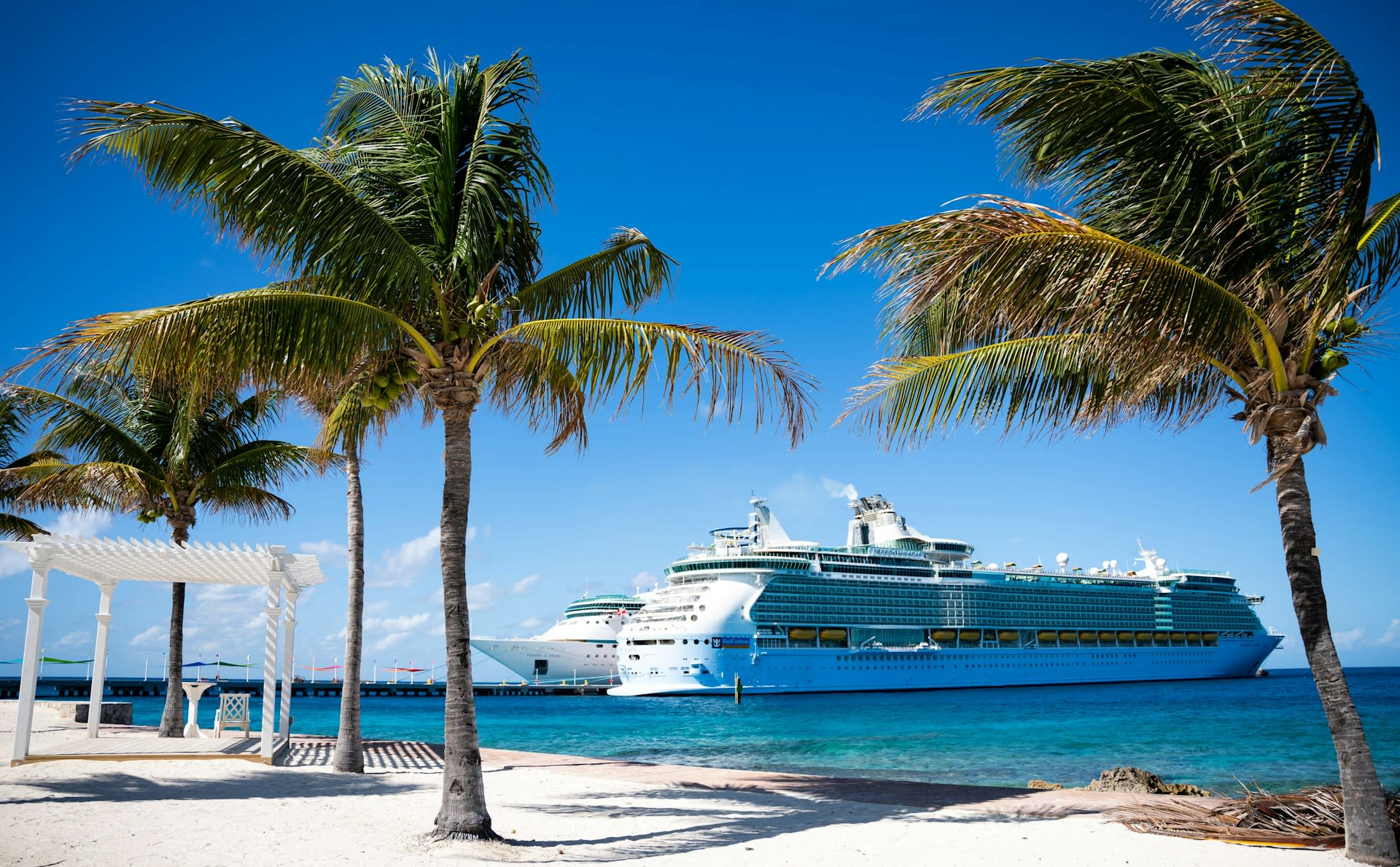Photo of a cruise ship docked next to a beach with palm trees blowing in the wind.
