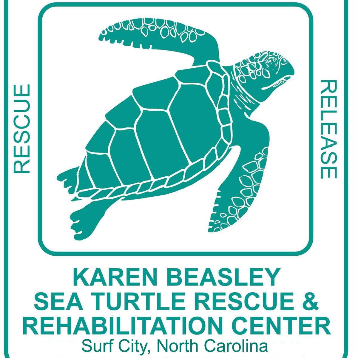 Sea Turtle Hospital
