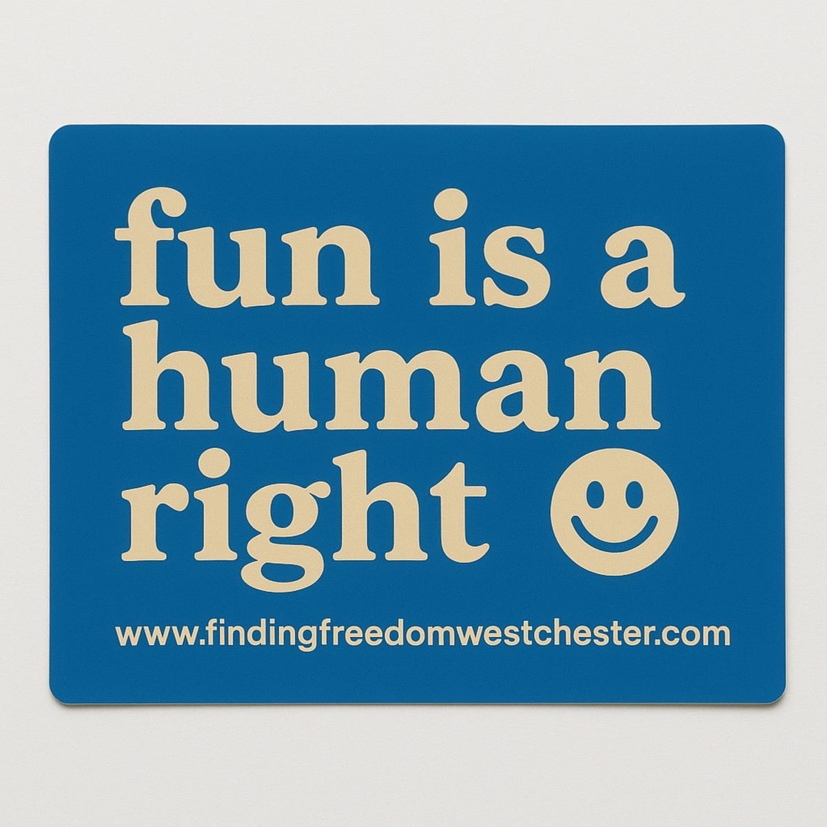 Graphic with the phrase “fun is a human right” and a smiley face.