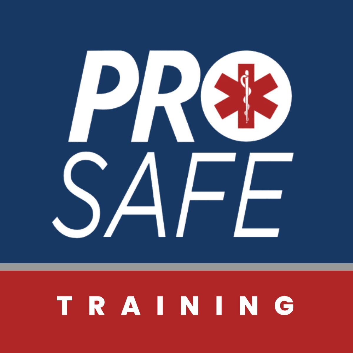 ProSafe Training School