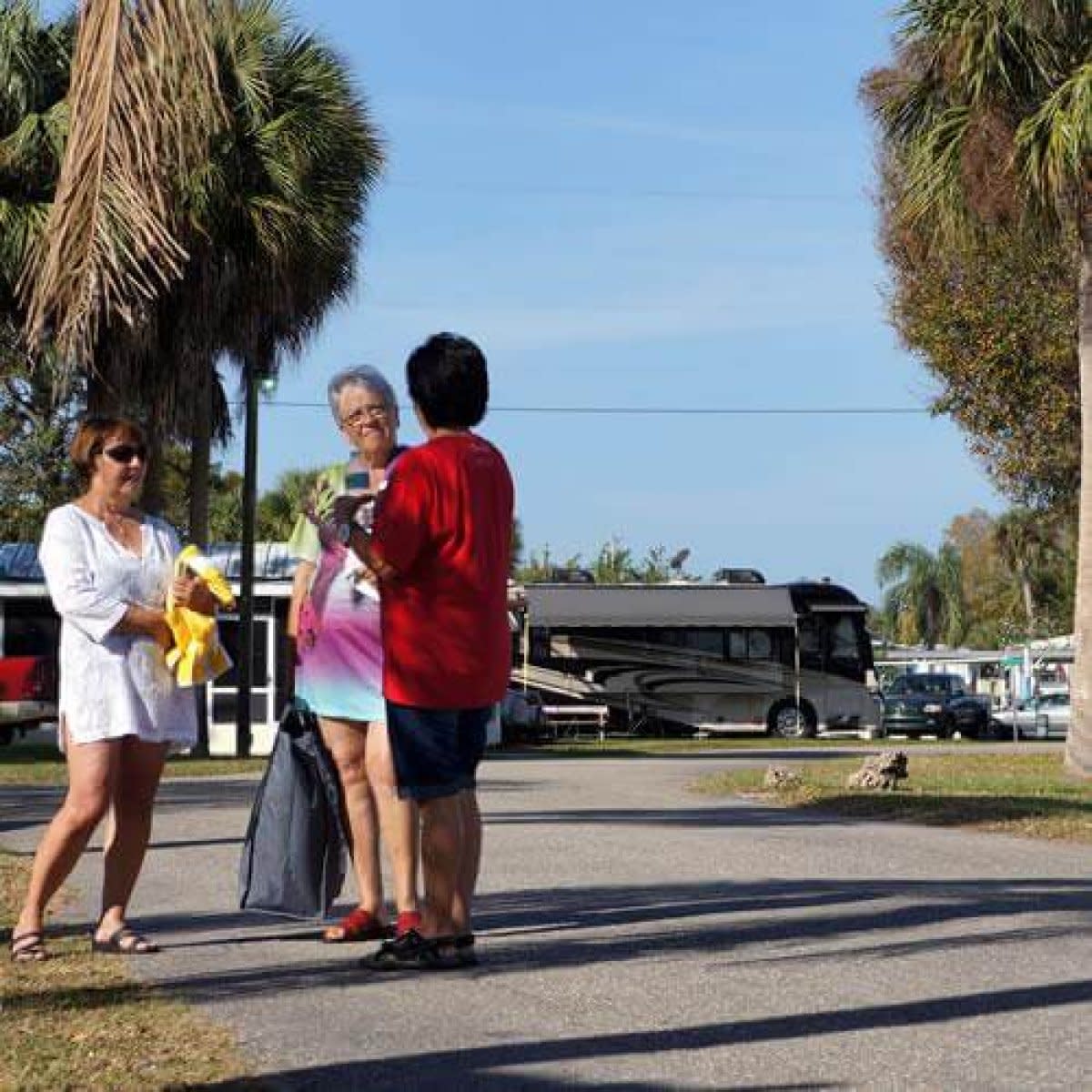 Three women chatting outdoors with RV and palm trees nearby