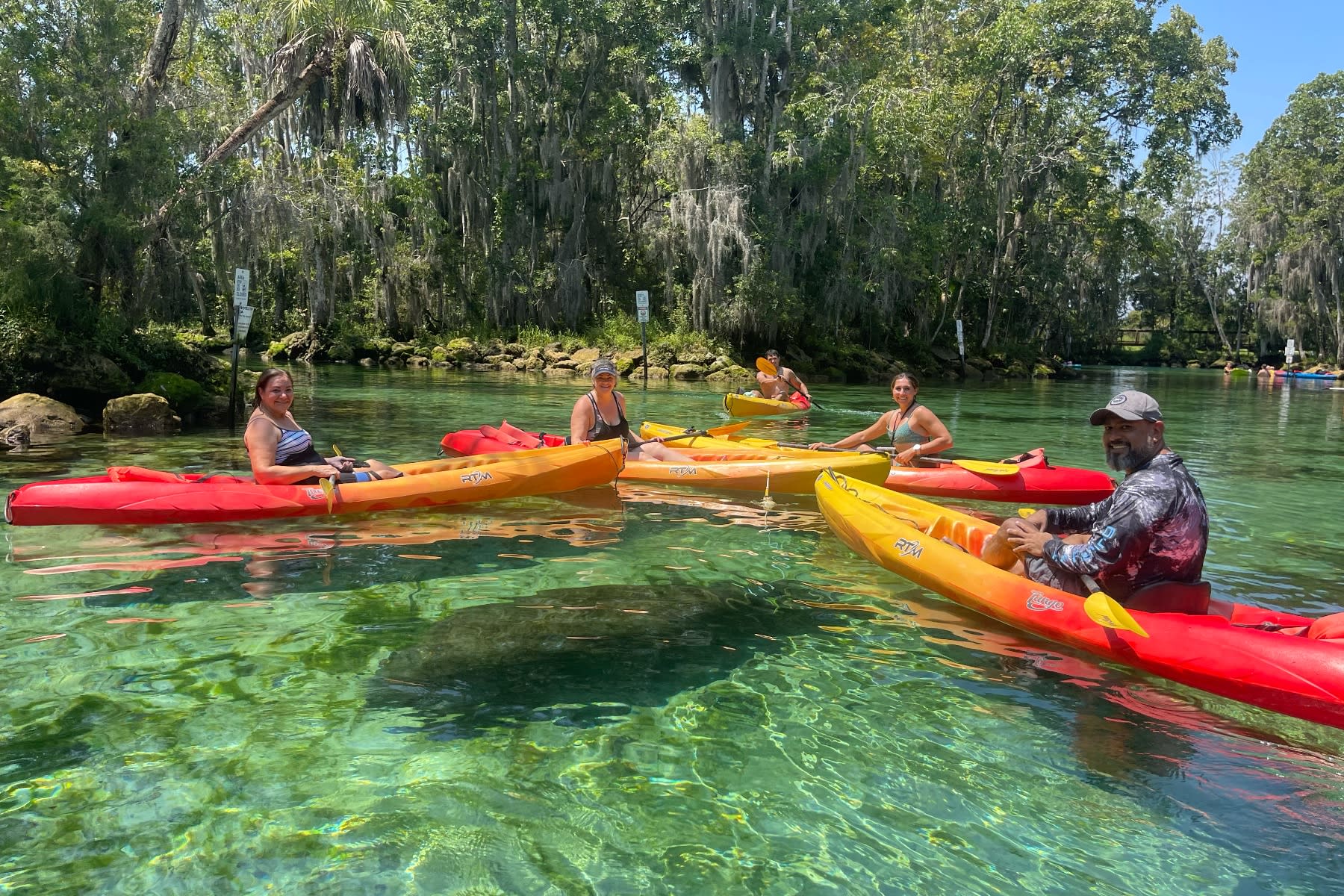 Kayakers paddling on clear spring water near Three Sisters Springs in Crystal River