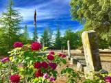 Red Roses in Nevada Cemetery District