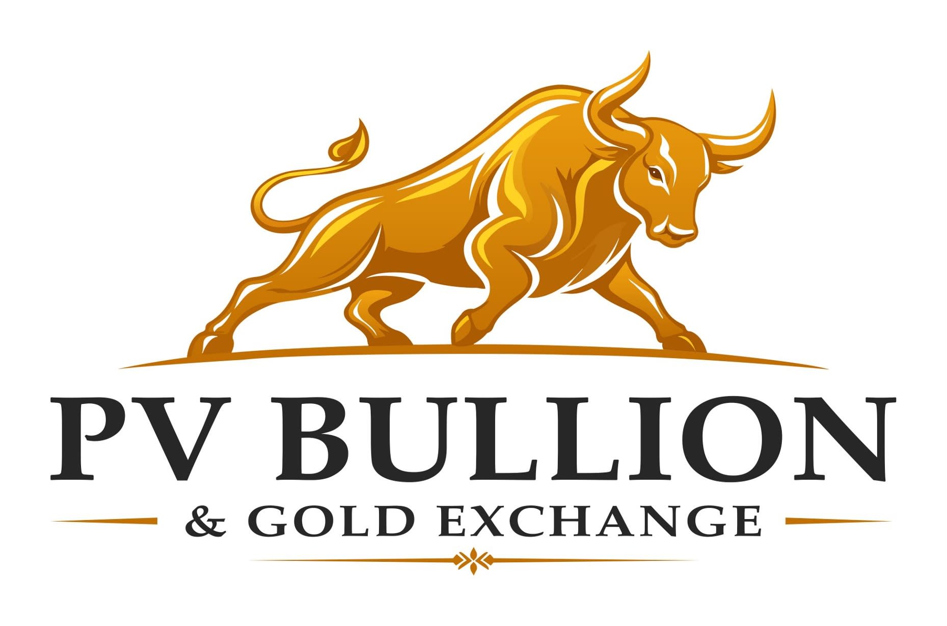PV Bullion & Gold Exchange logo
