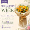 Floral Casa Arrangement of the Week with fresh seasonal flowers in Coppell, TX.