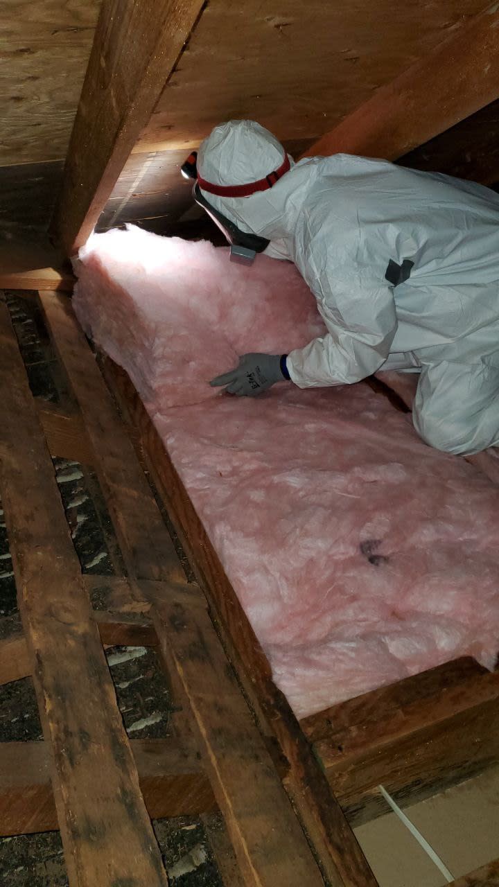 Technician installing fiberglass batt insulation in a residential attic to improve energy efficiency and thermal performance.