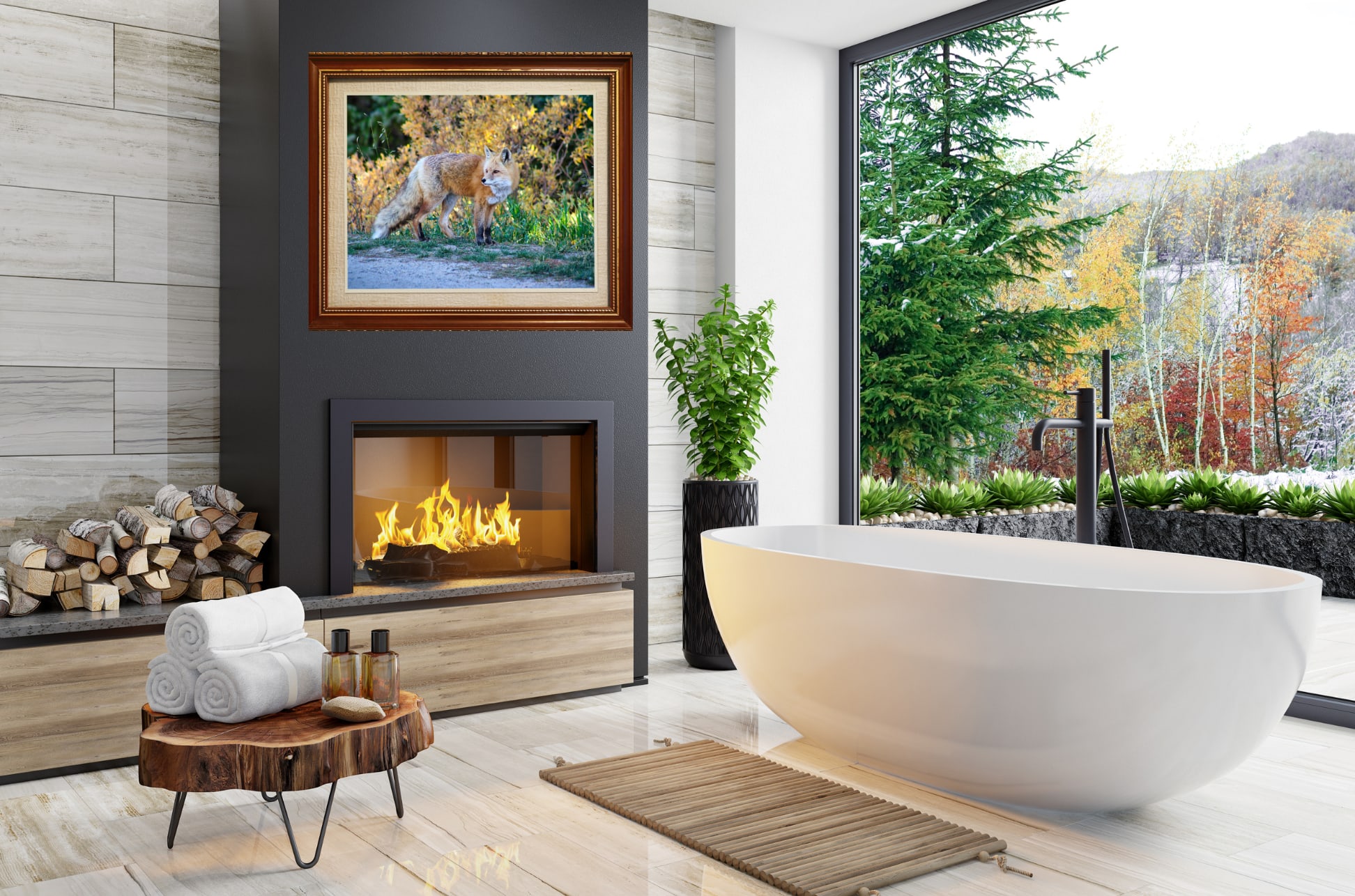 Fox against golden brush at sunset looking back over its shoulder