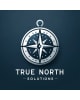 True North Solutions logo