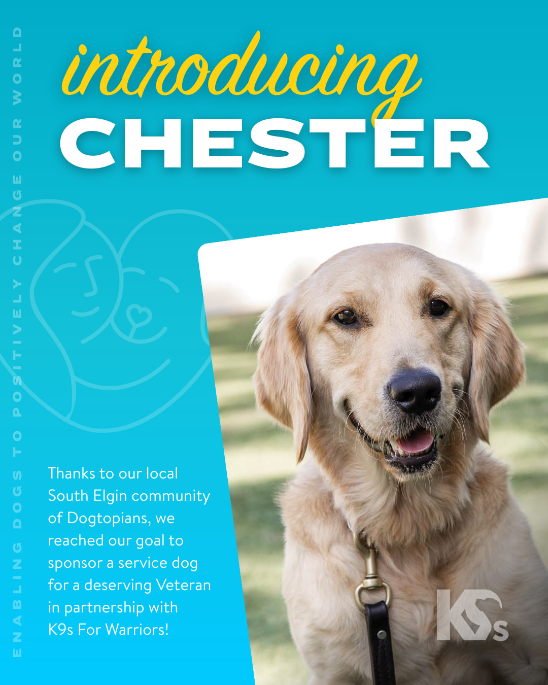 Possibly a golden retriever with a lease on it