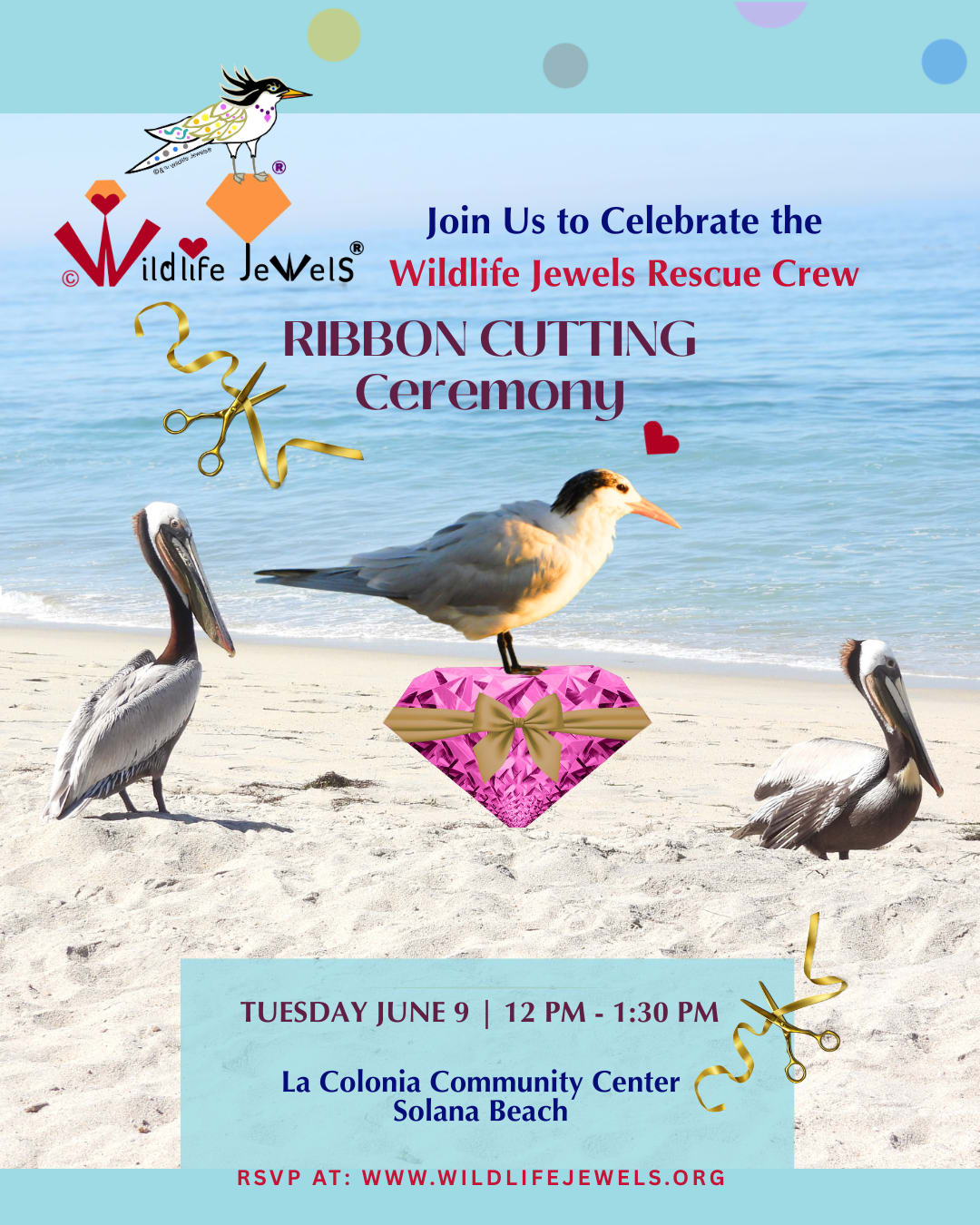 Wildlife Jewels