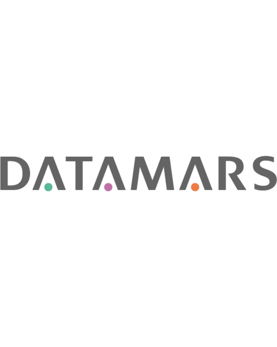 Datamars Logo