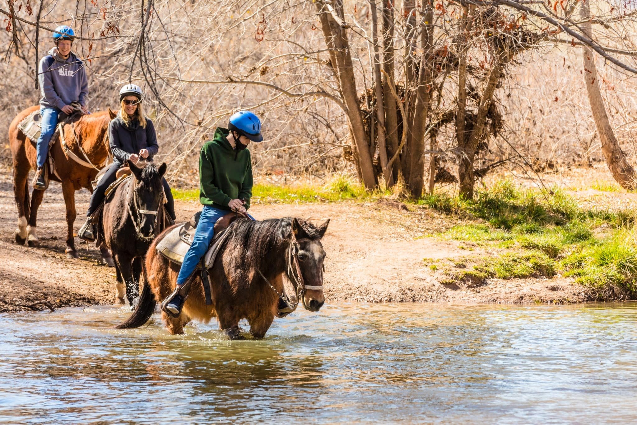 River Crossing Horseback Ride- Trail Horse Adventure