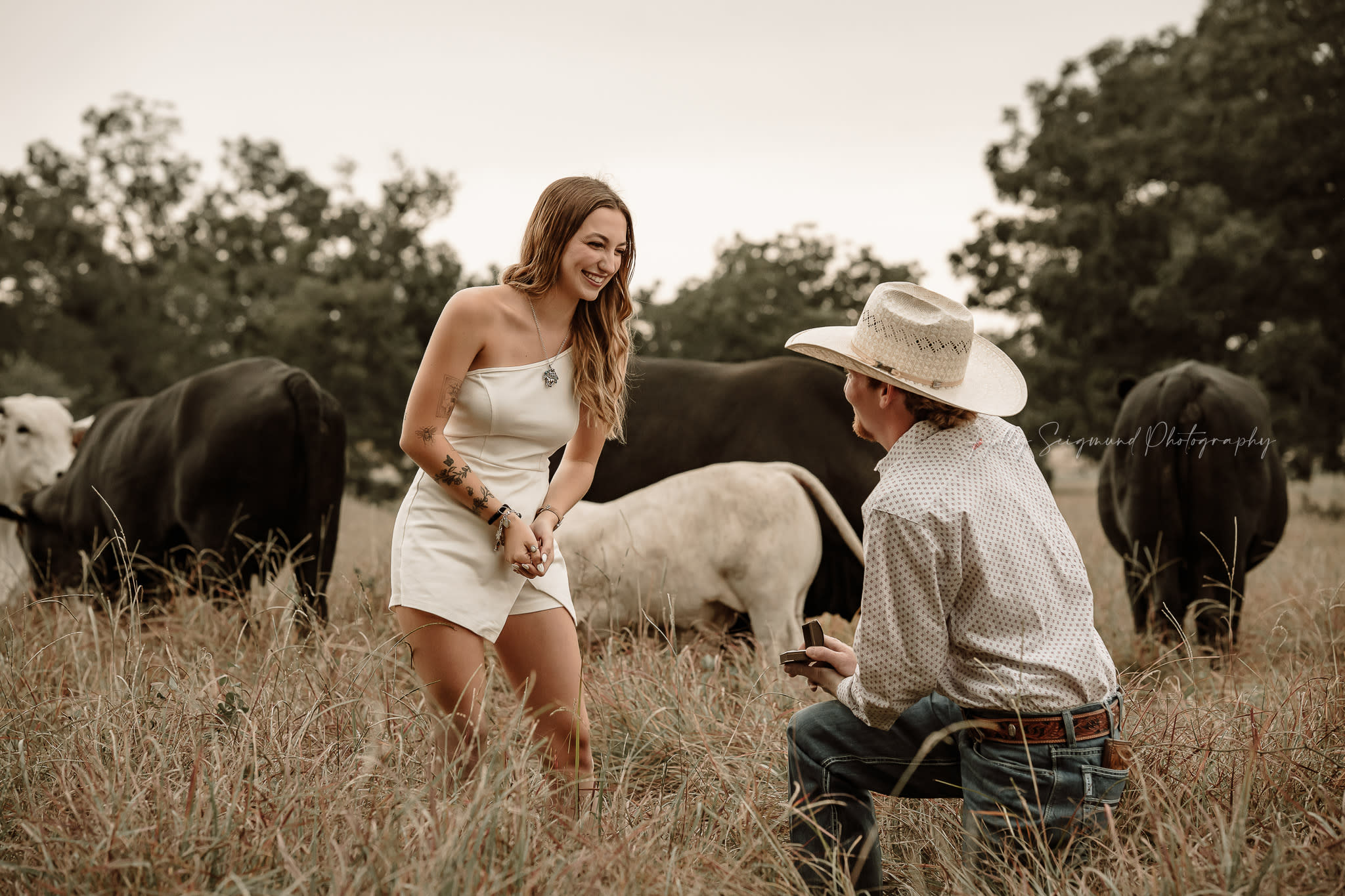 Engagement Photographer Photography Proposal
