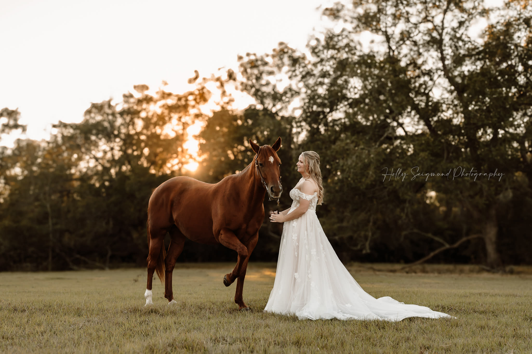 Horse Bride Photography Bridal Photographer Session