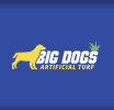 Big Dogs Artificial Turf