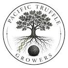 pacific truffle growers with a tree and roots and a truffle mushroom