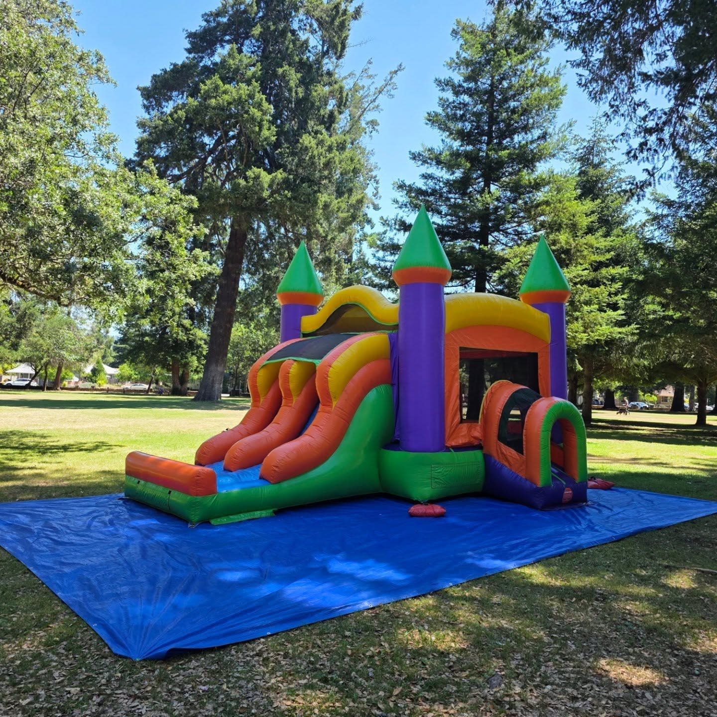 The Party Pros-Willits, CA