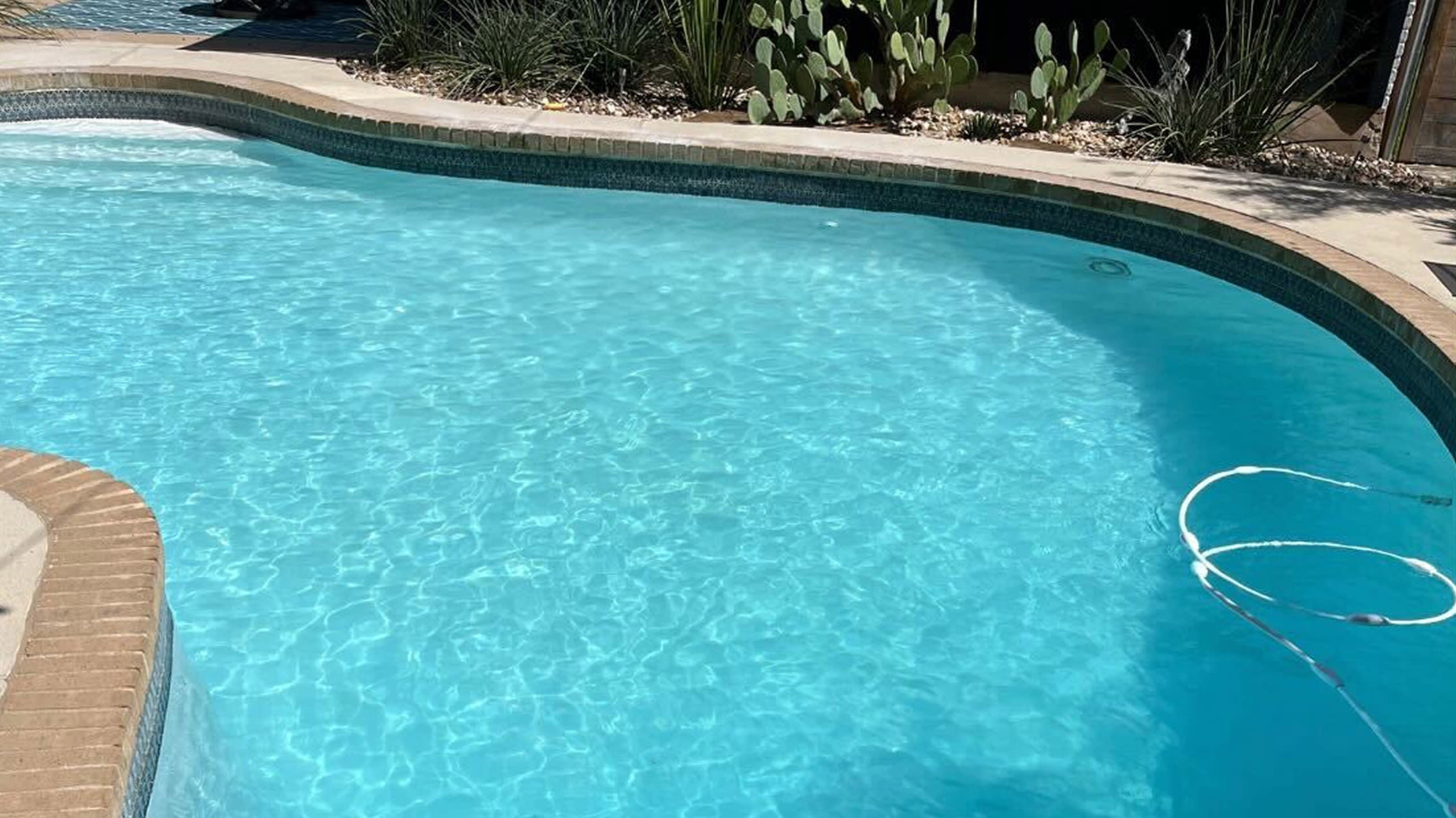 Pool showing crystal-clear water and cleaning equipment