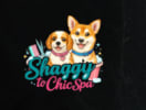 Shaggy to Chic