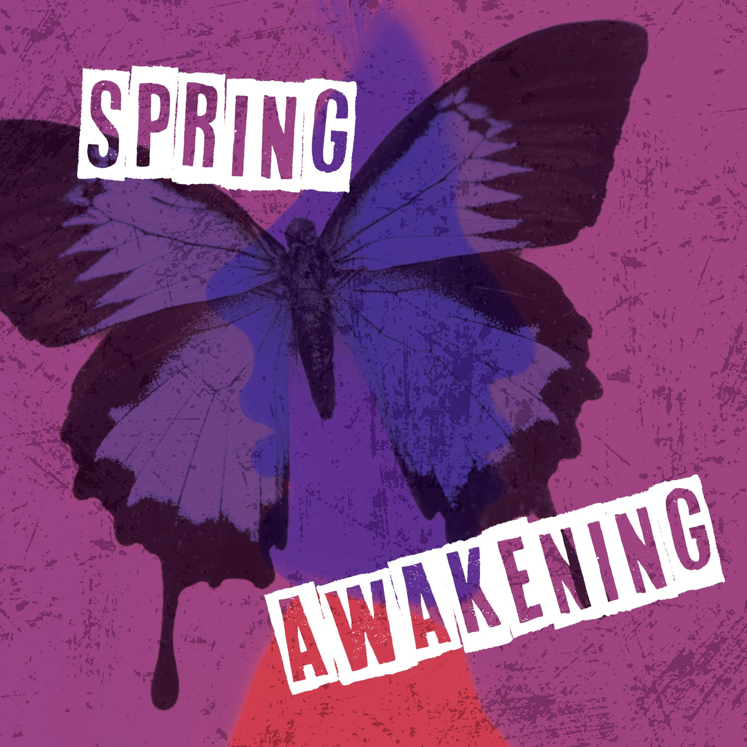 A rectangular image on a purple background, textured like an old photograph. On the left, a dark purple and black butterfly i