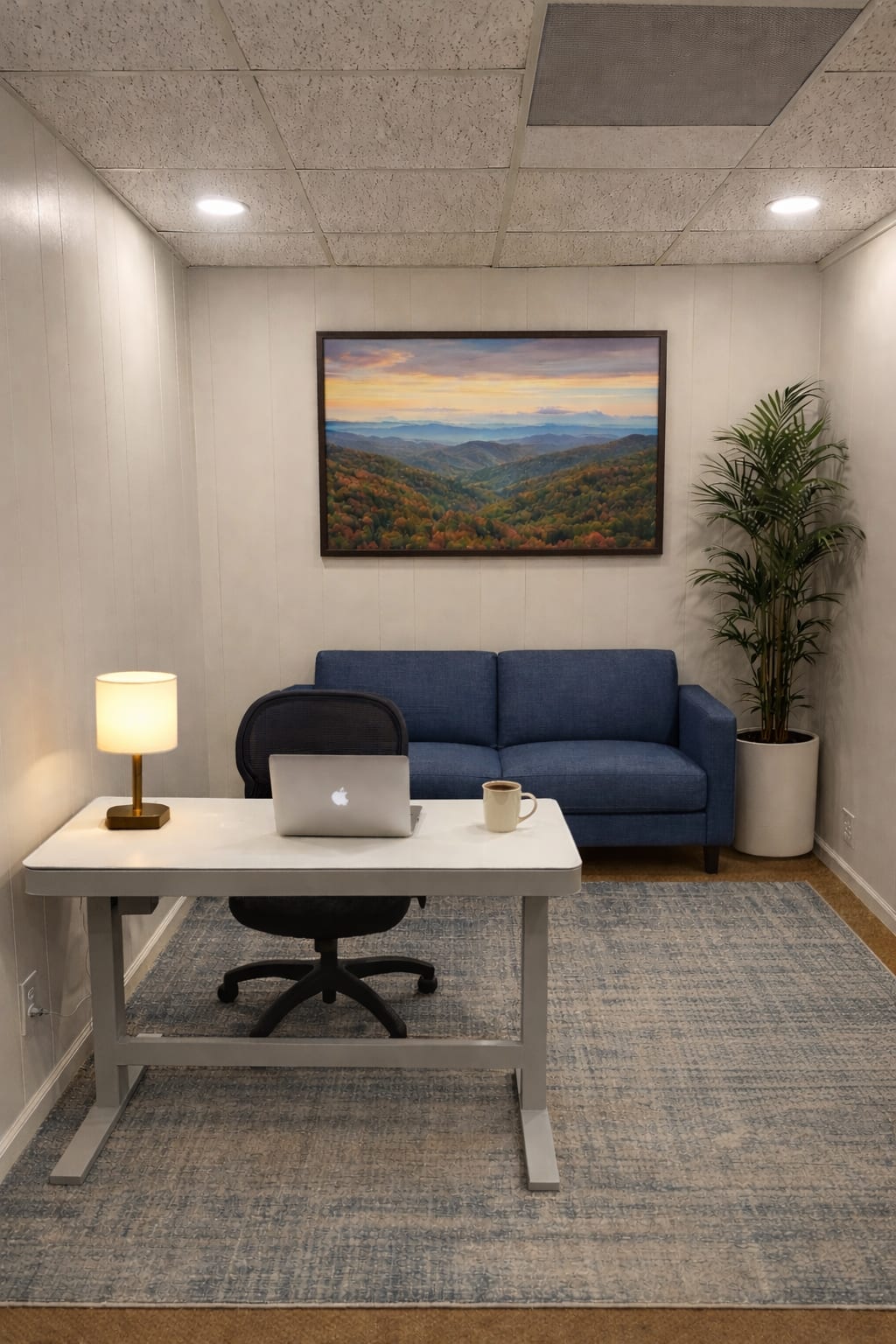 Ellijay Hub Office Spaces in Ellijay GA
