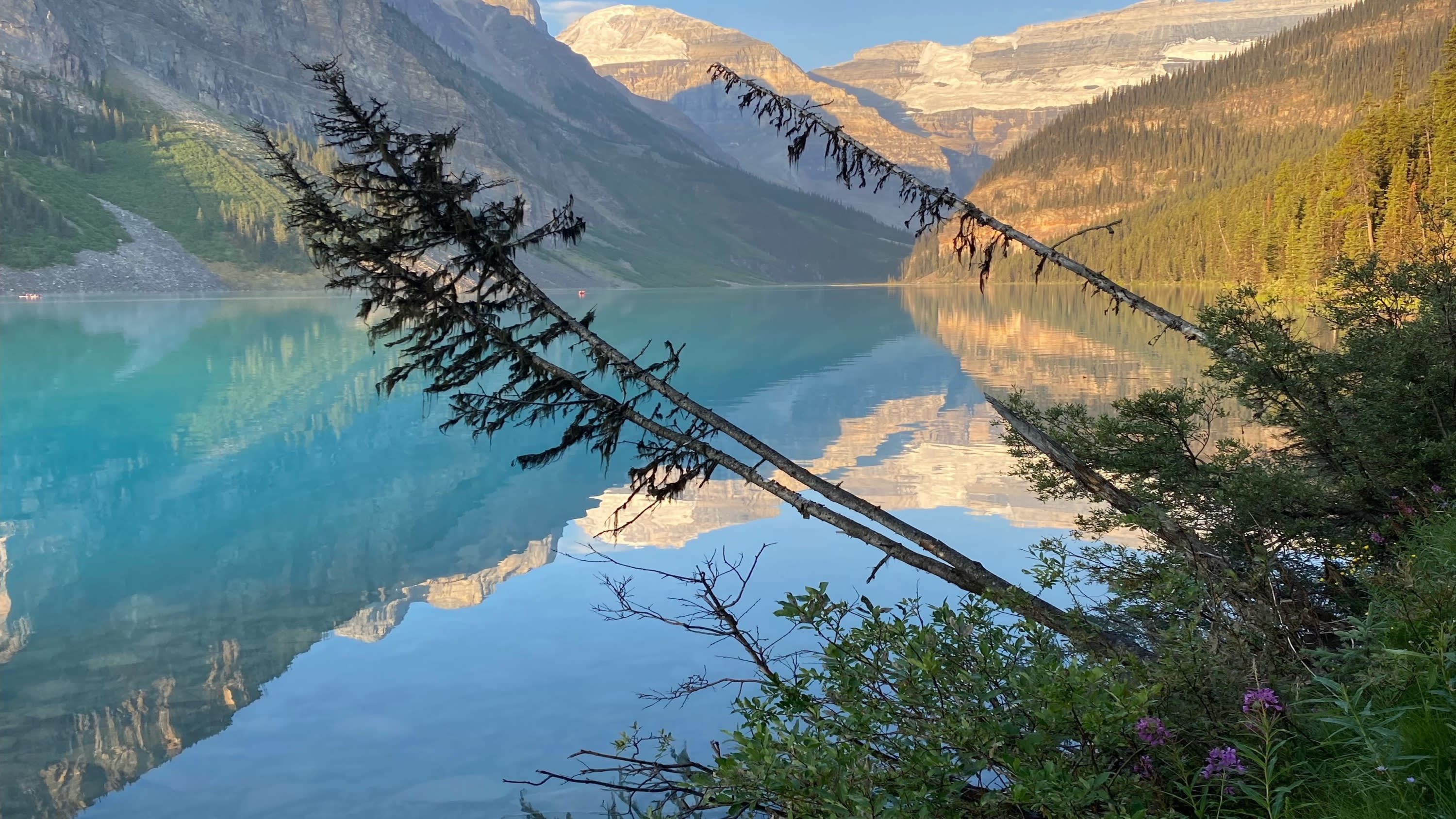 Lake Louise, Alberta, Canada