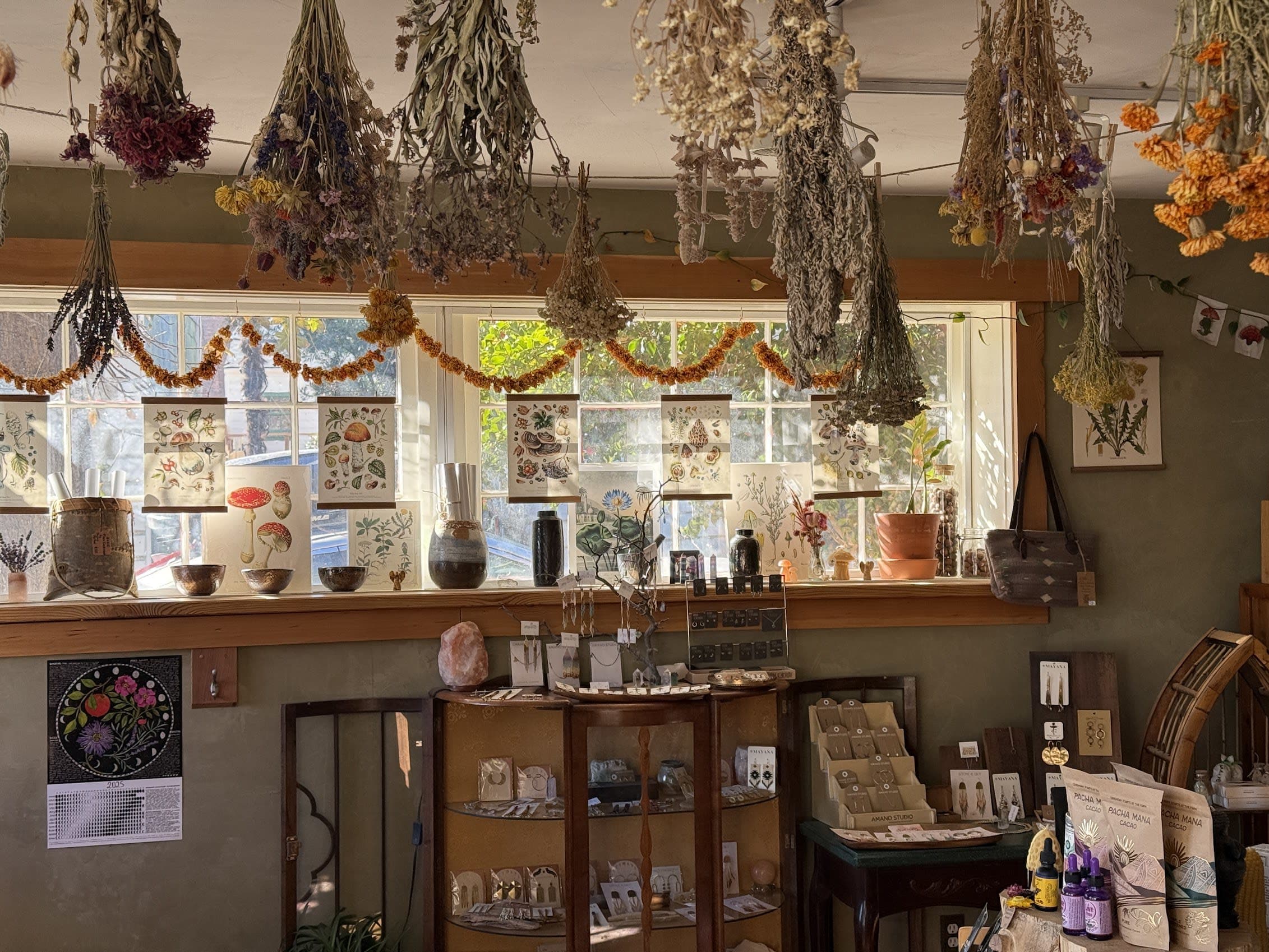 Interior of herb shop, herbs hnaging on healing ceiling