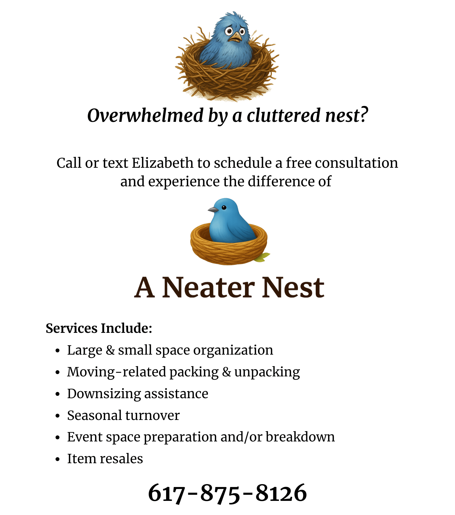 A Neater Nest Flyer
