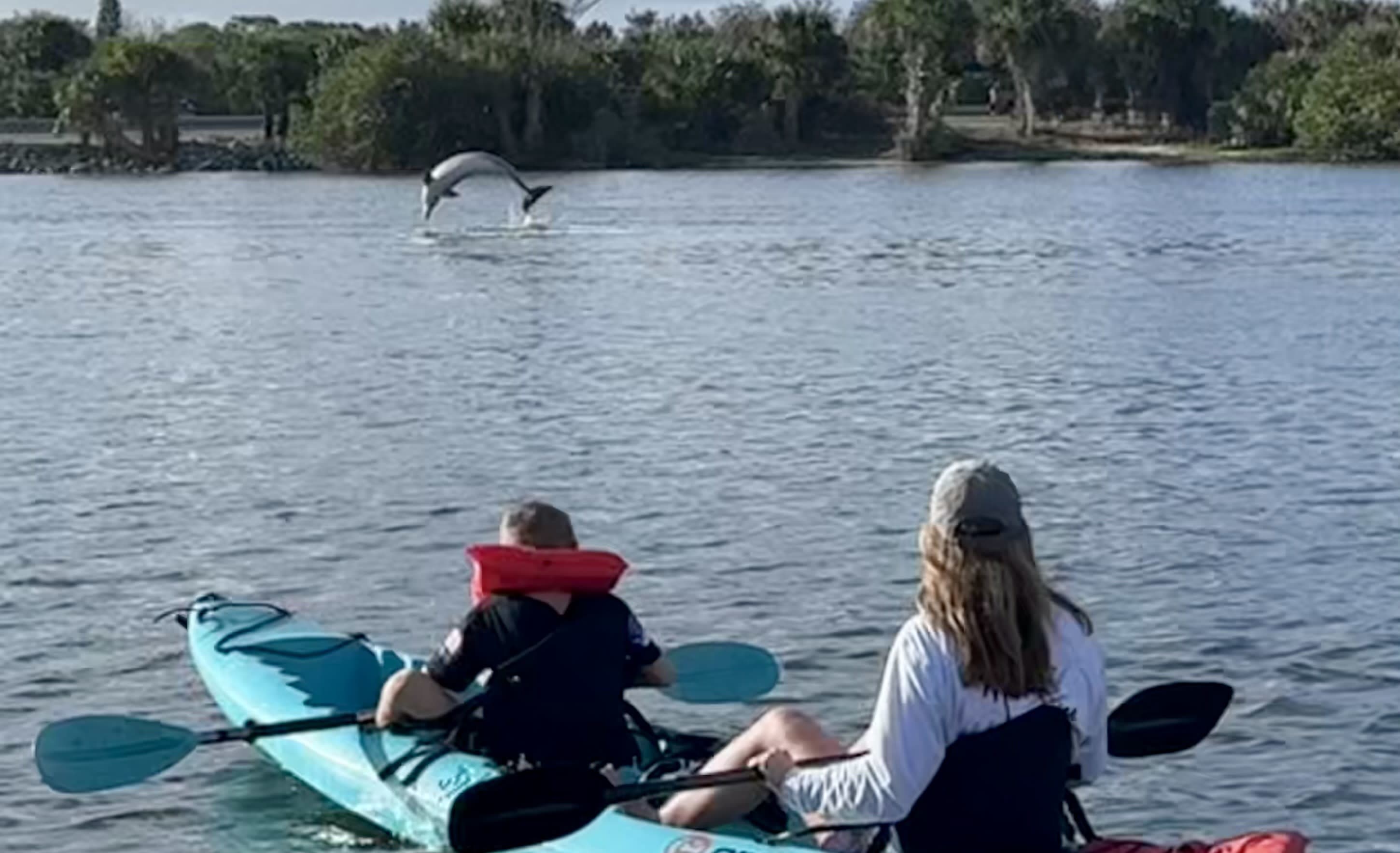 Guests kayaking as a dolphin jumps from the water on a Merritt Island tour