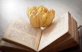 Book with flower on it