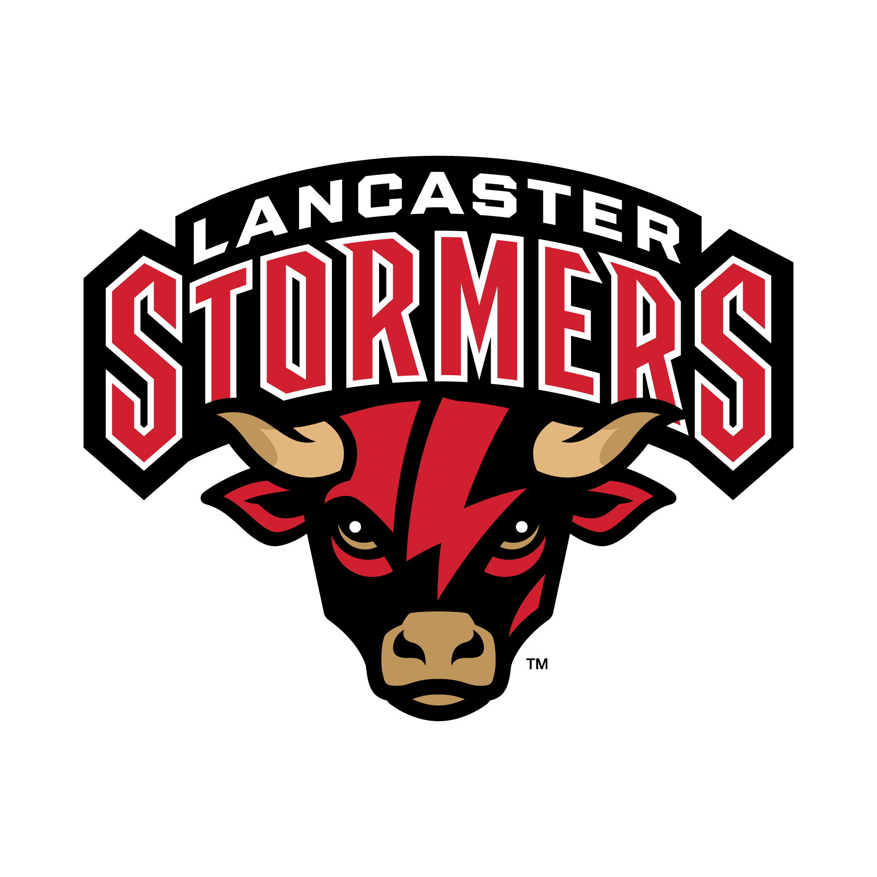 Stormers Logo
