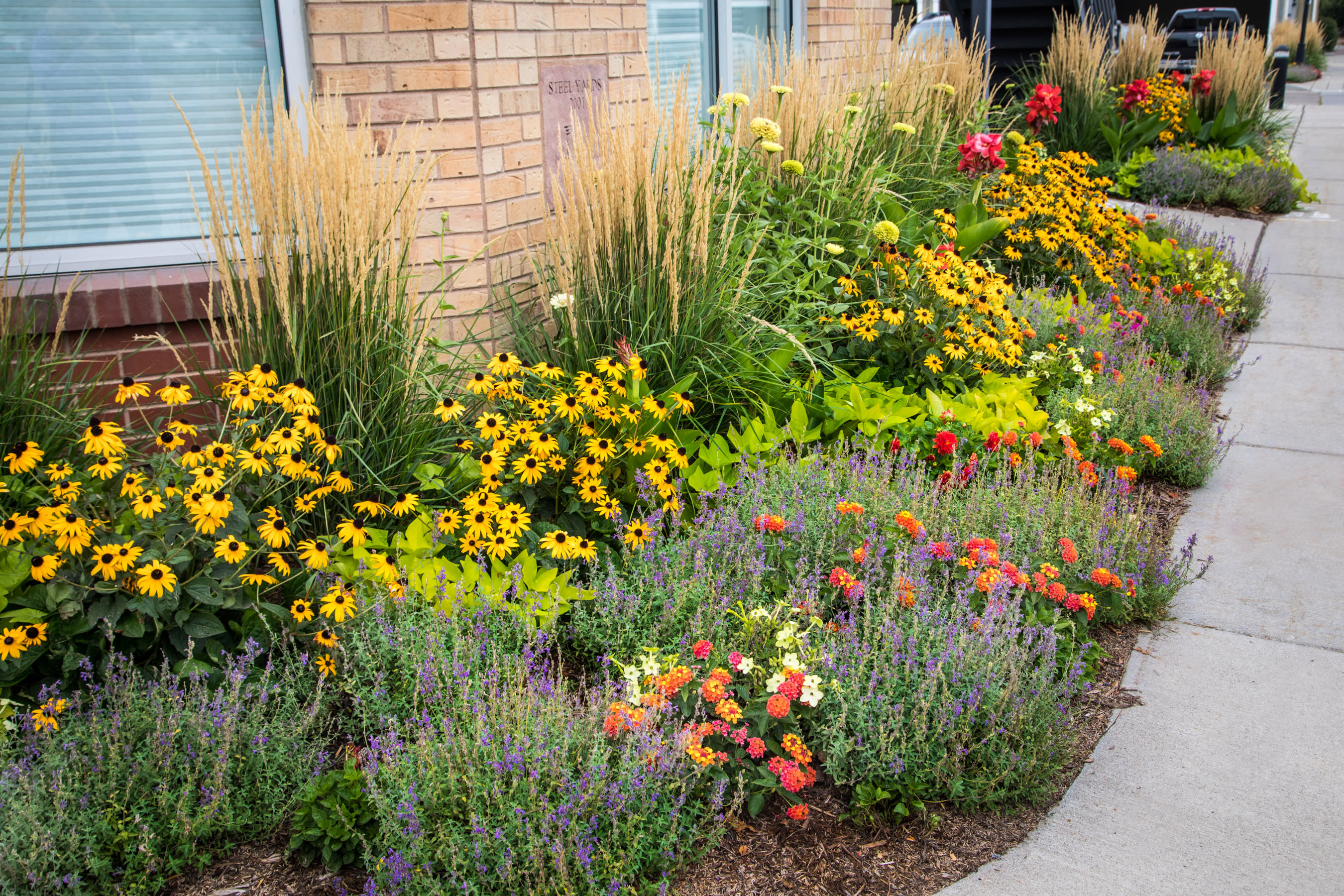 Commercial Landscaping, Commercial Landscape Maintenance, Longmont Landscaping, Native Edge Landscapes