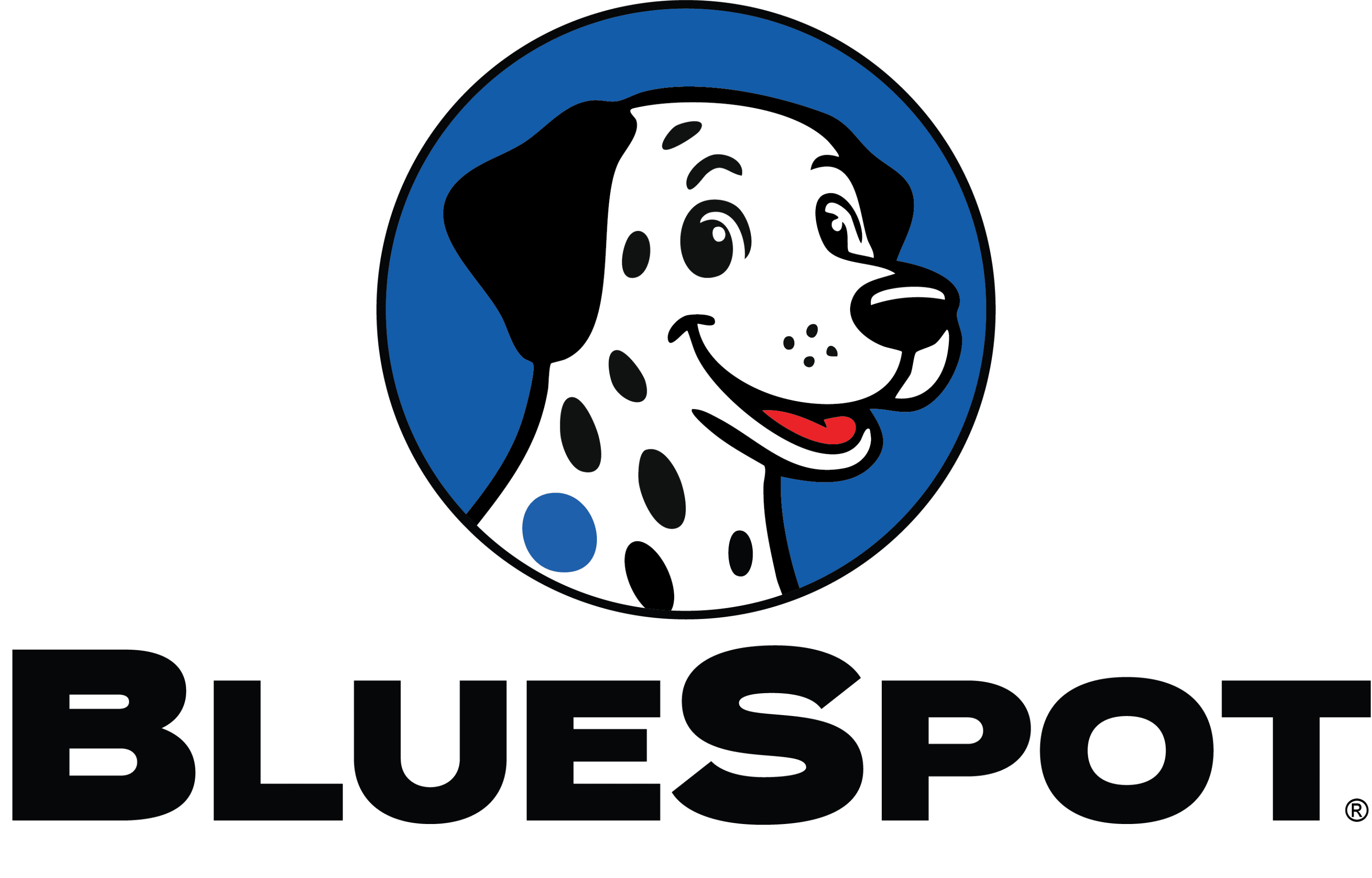 BlueSpot logo