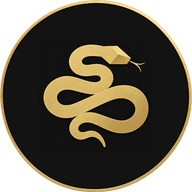 Python Visuals logo