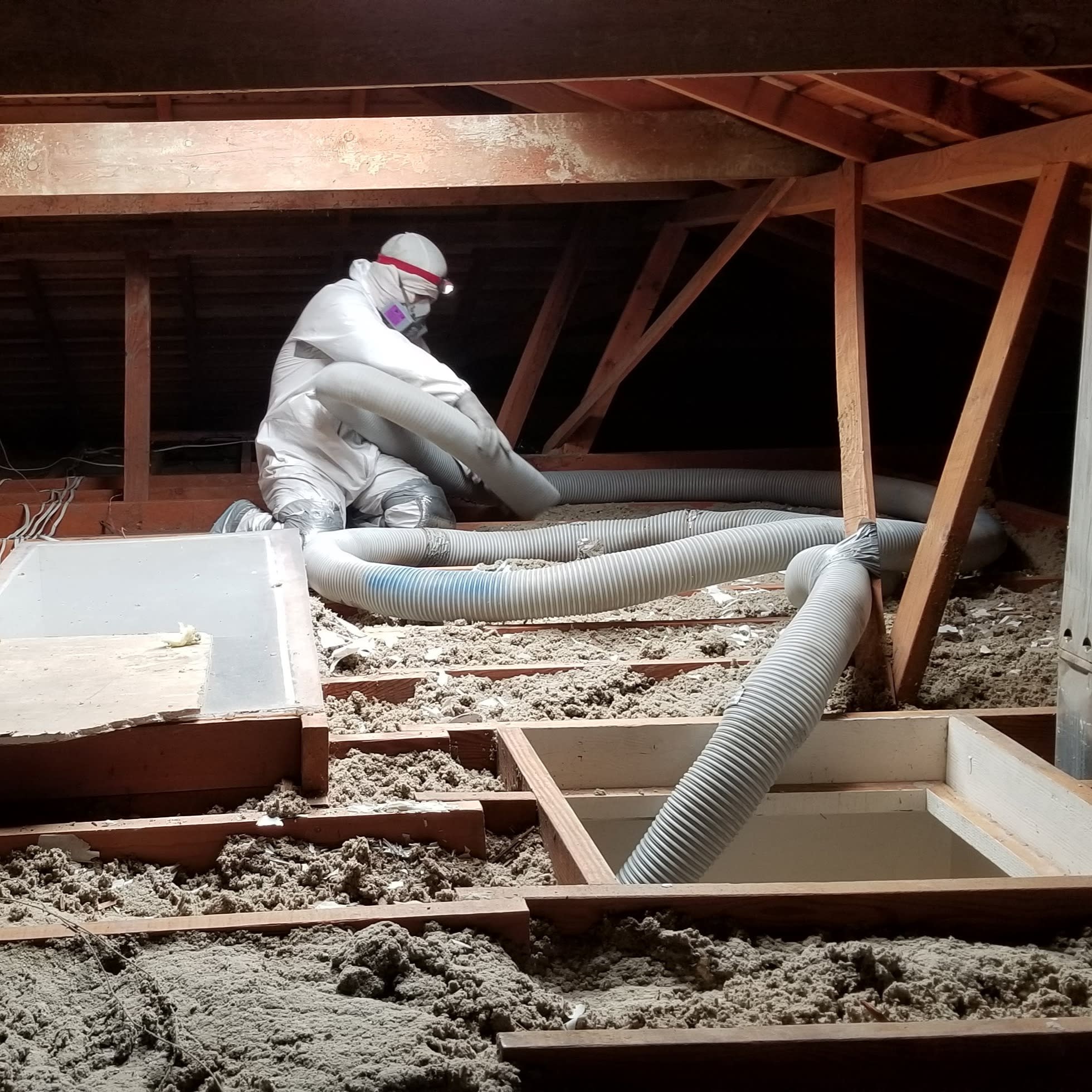 Attic cleaning service removing old and damaged insulation