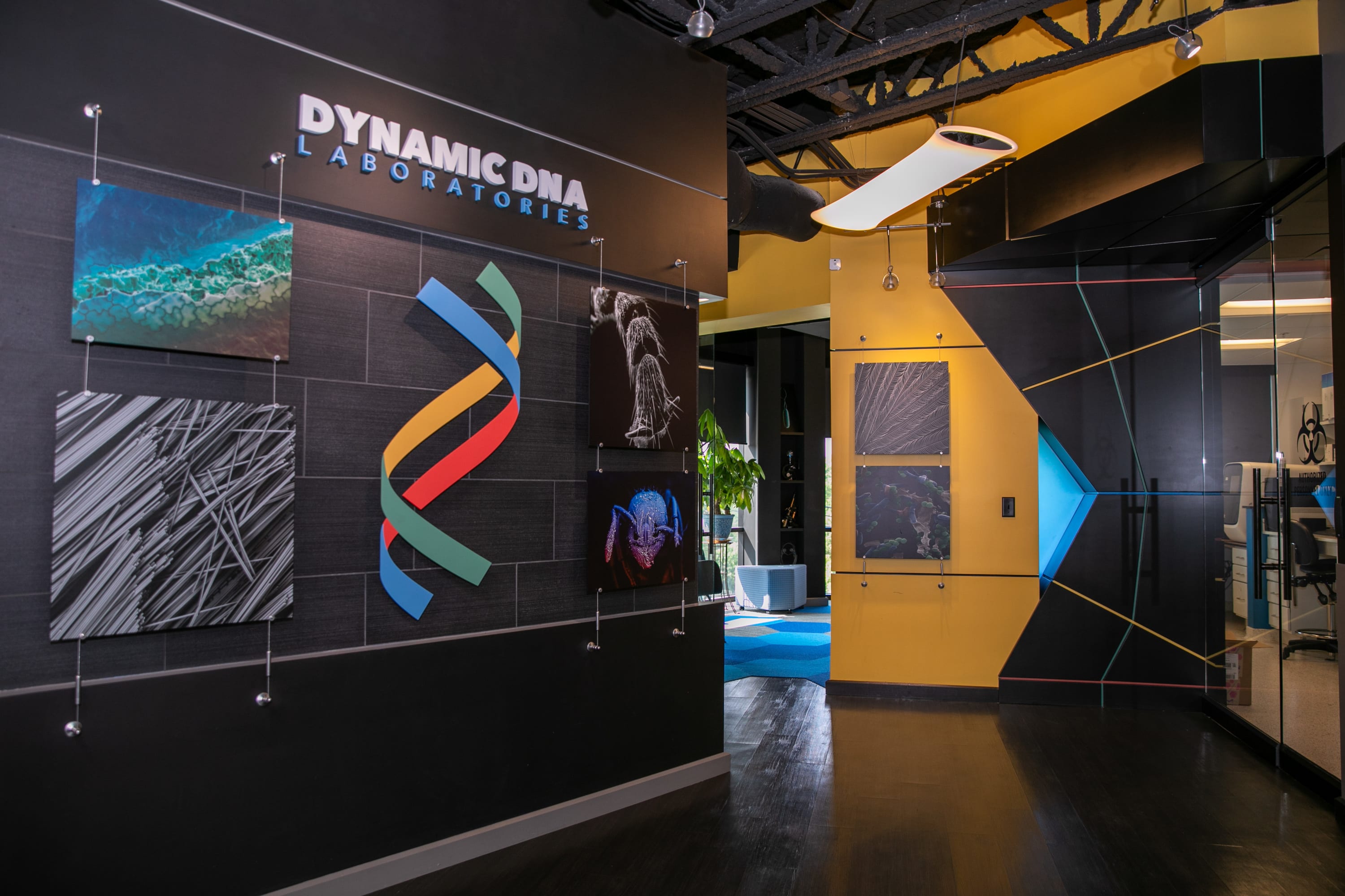 Dynamic DNA Office