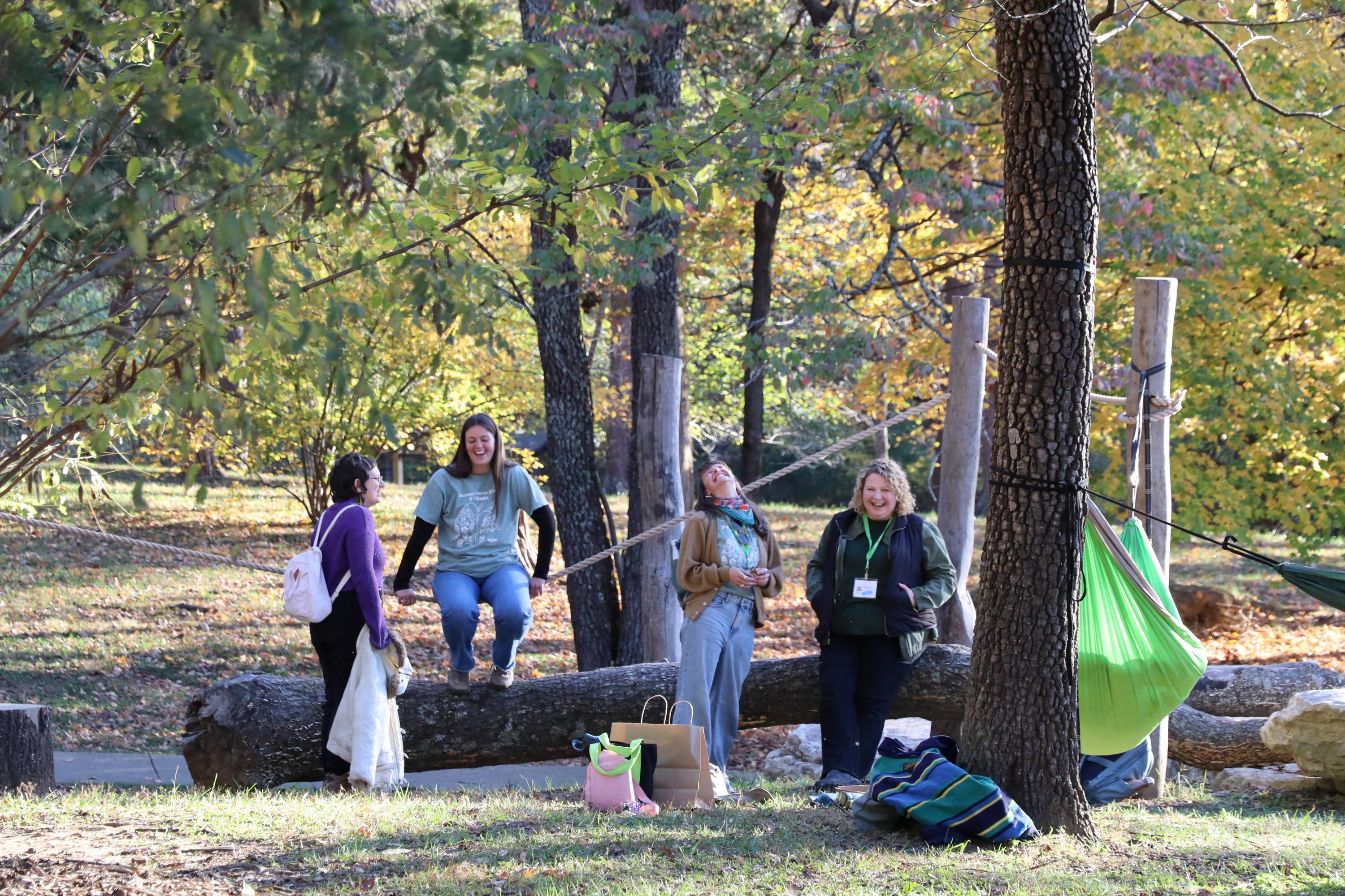 Adults in PlaycoSystems