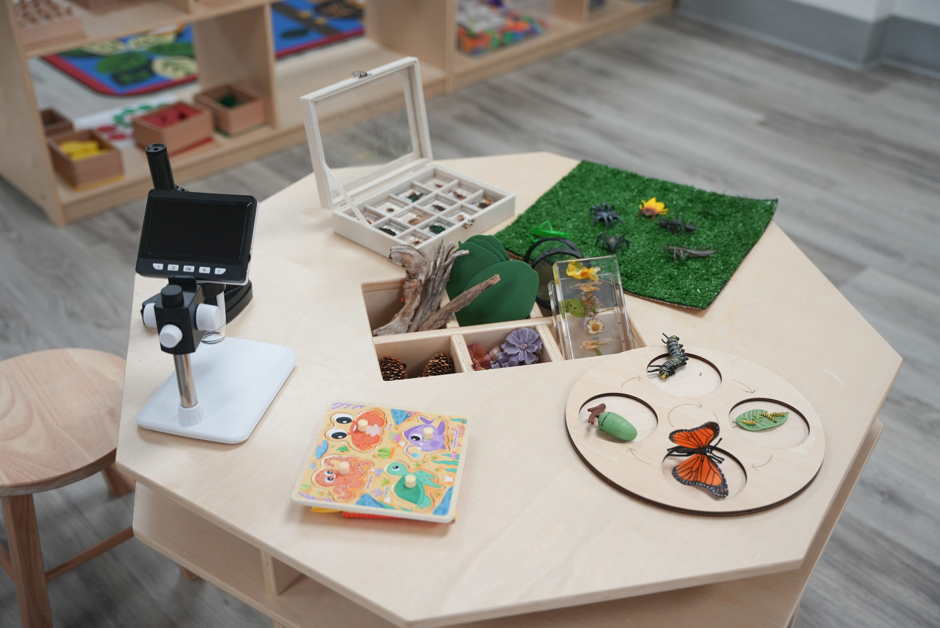Nature Table