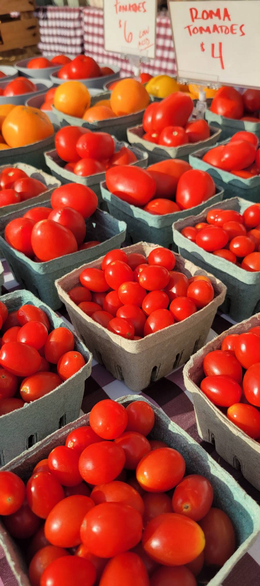 Fresh tomatoes in various sizes displayed in cardboard containers at a farmers market stand