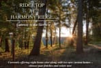 photo of a beautiful view into the trees on top of a ridge with the sun setting