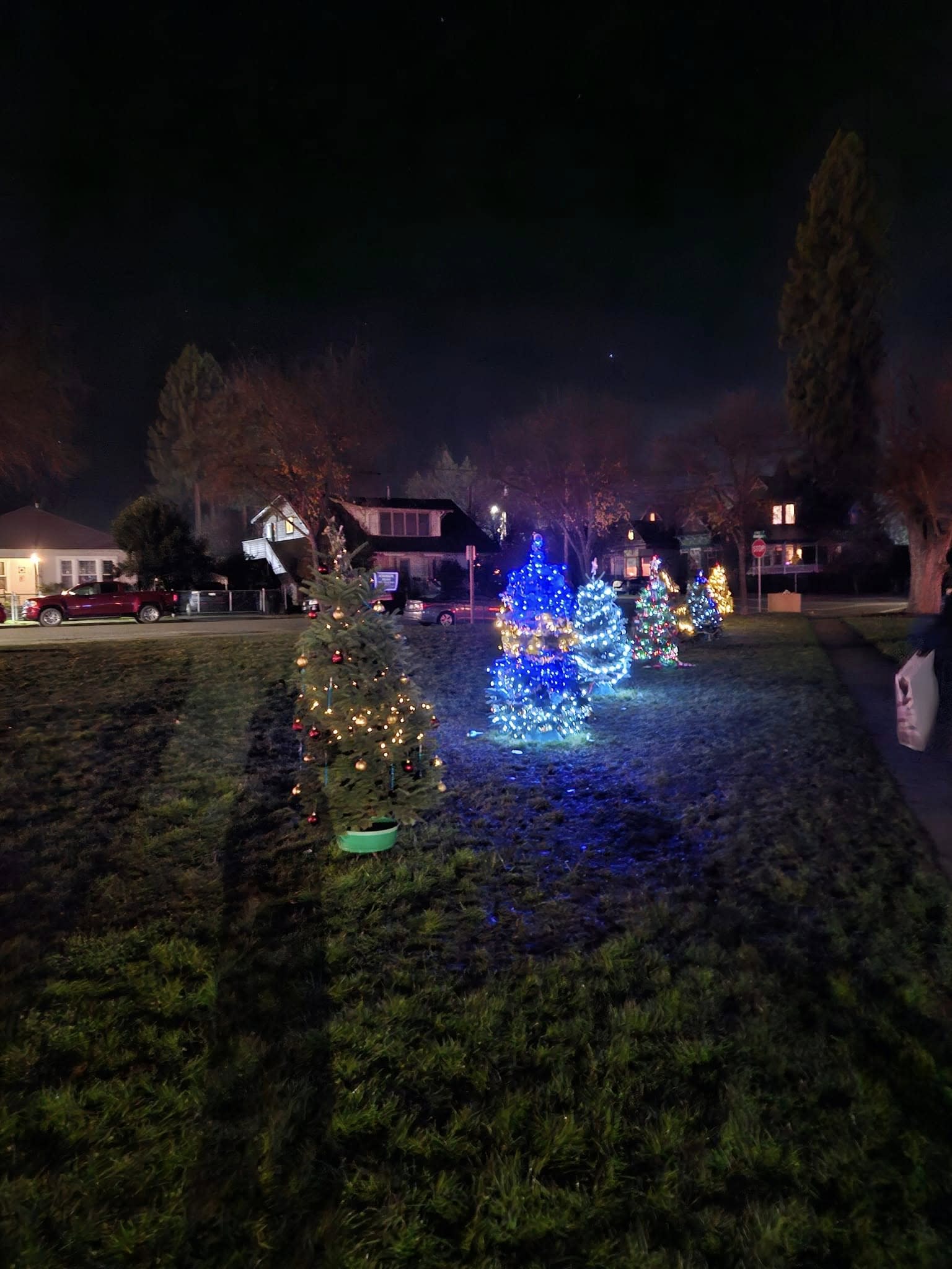 Light Up The Park with Willits FFA