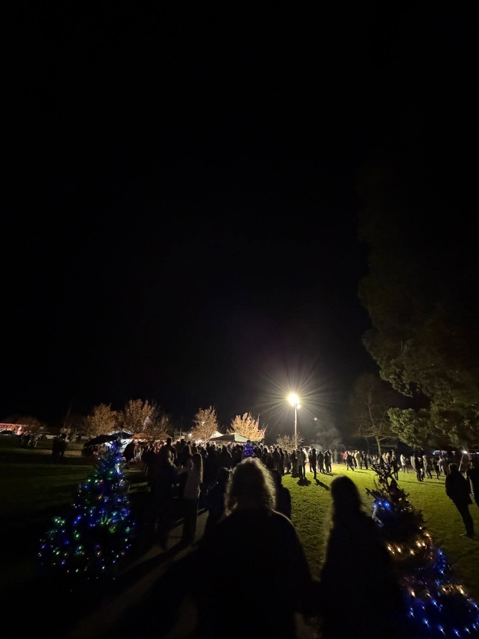 Light Up The Park with Willits FFA