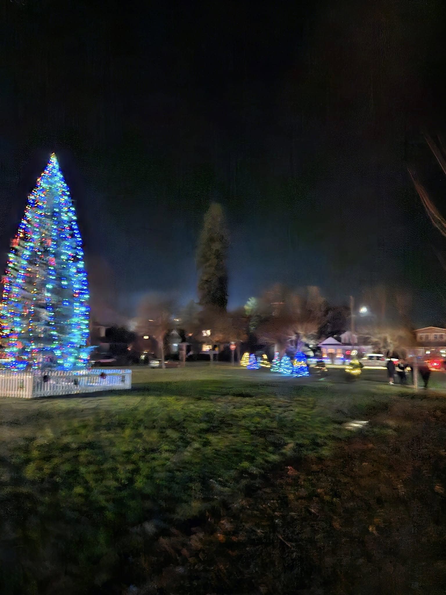 Light Up The Park with Willits FFA
