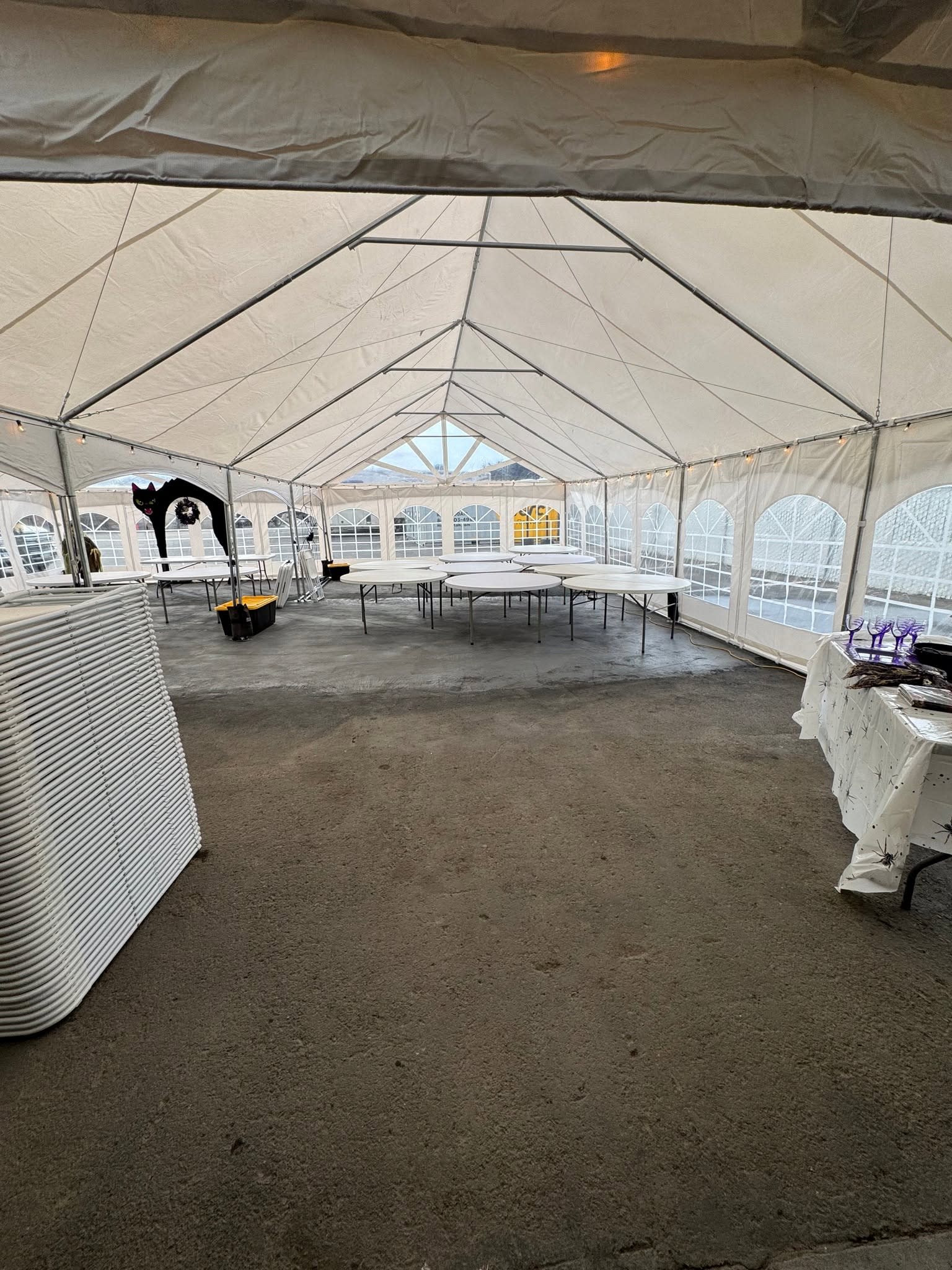 The Party Pros-Willits, CA