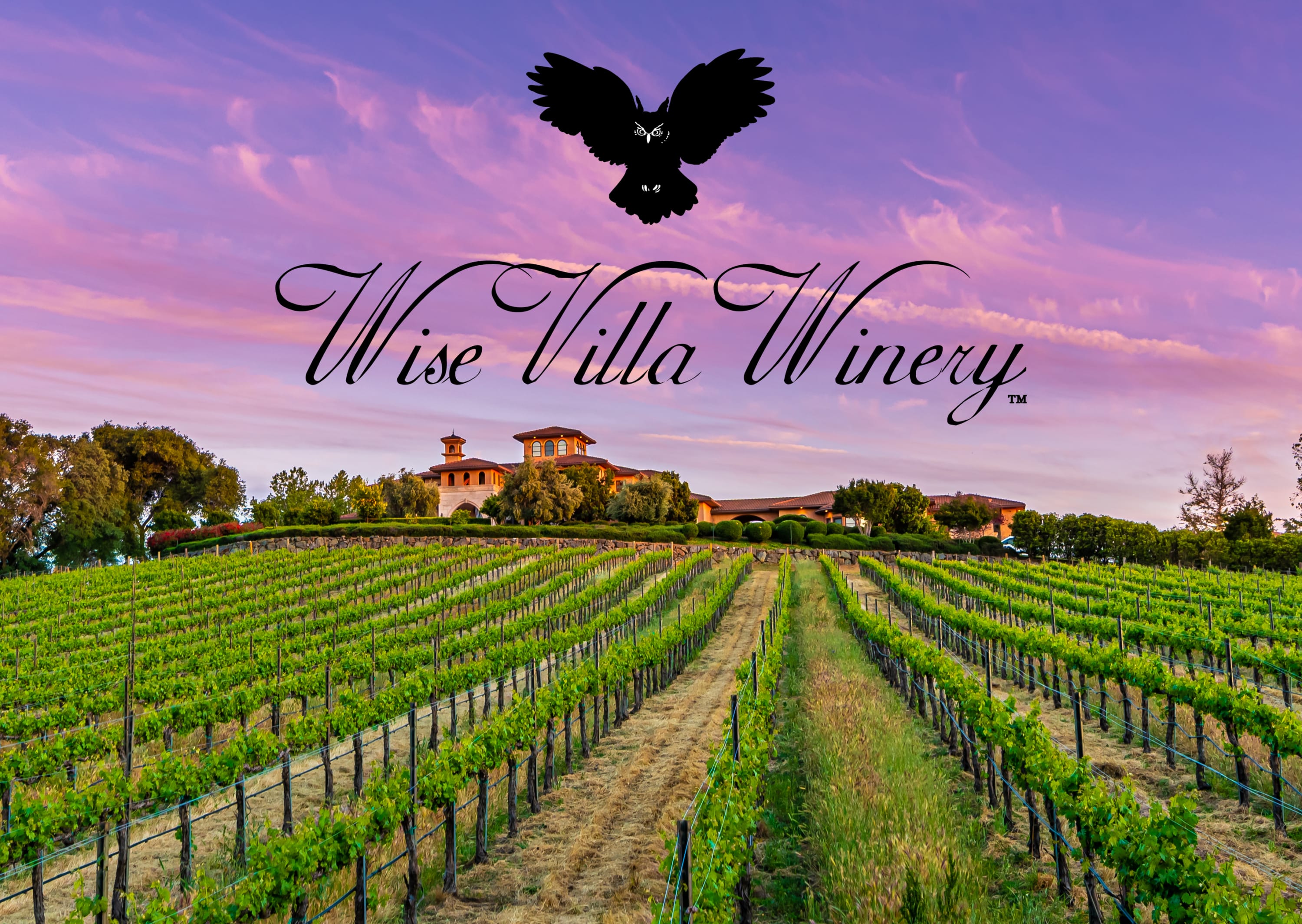Wise Villa Winery with a purple sky sunset with a view of the villa and vineyards