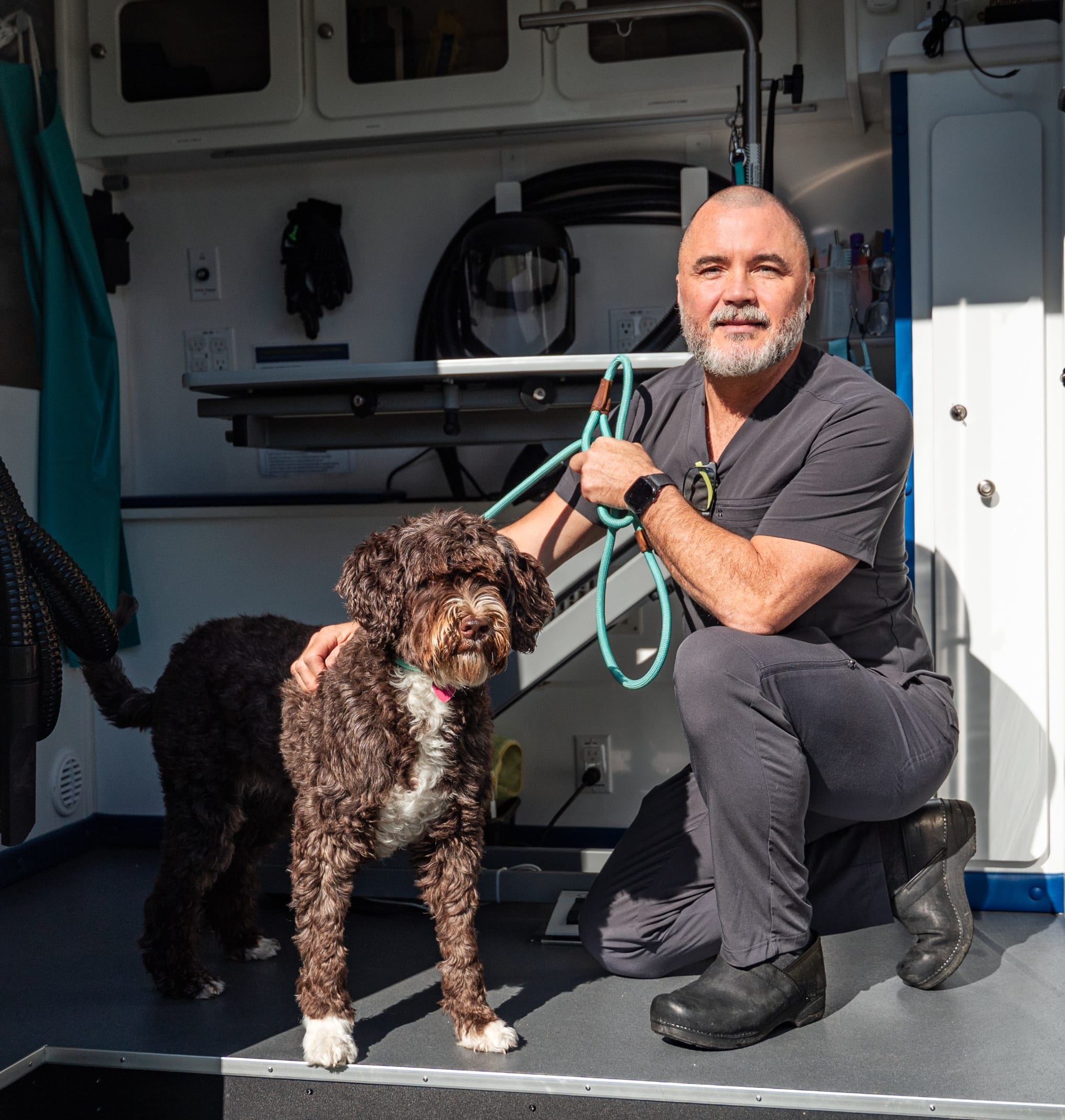 Brown and white Portuguese Water dog standing inside mobile dog grooming van, next to a kneeling dog groomer.