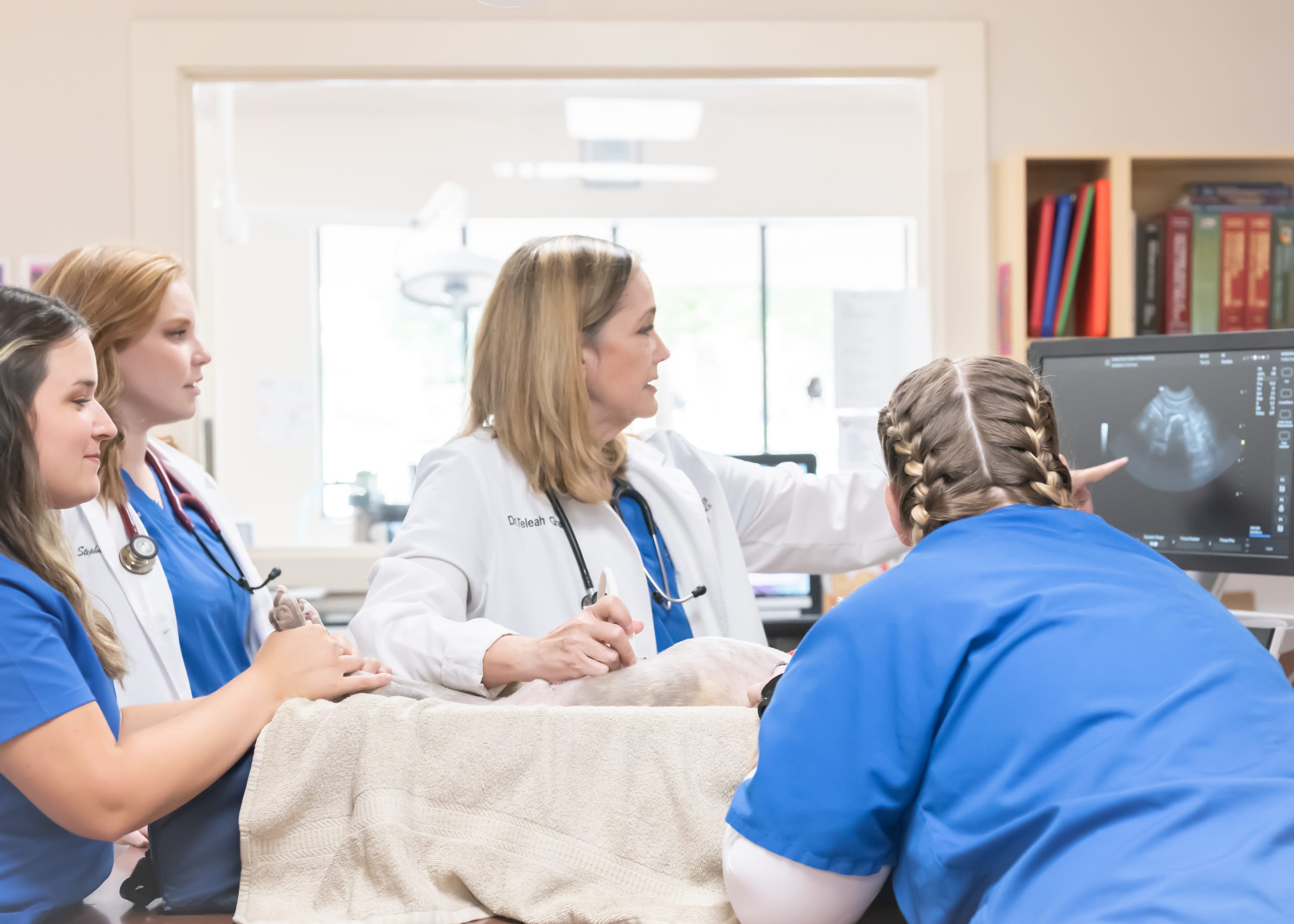 Veterinary Team examining a dog at Animal Care Center at Stonebridge Ranch in McKinney, TX